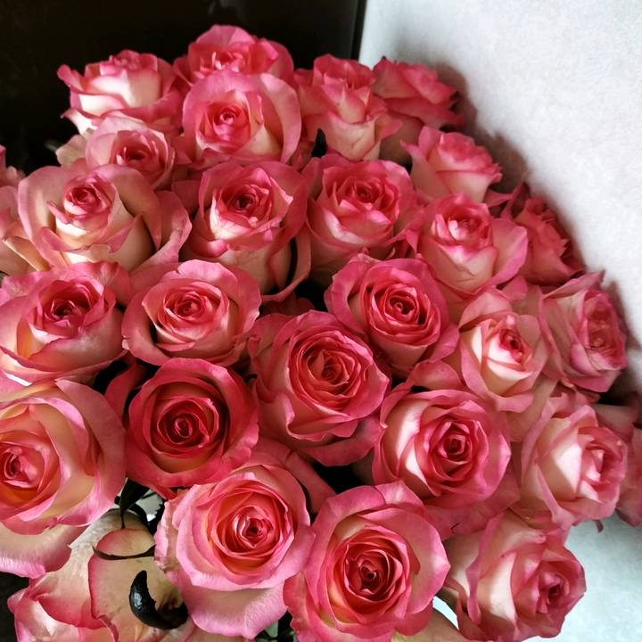 Марина Серьожина