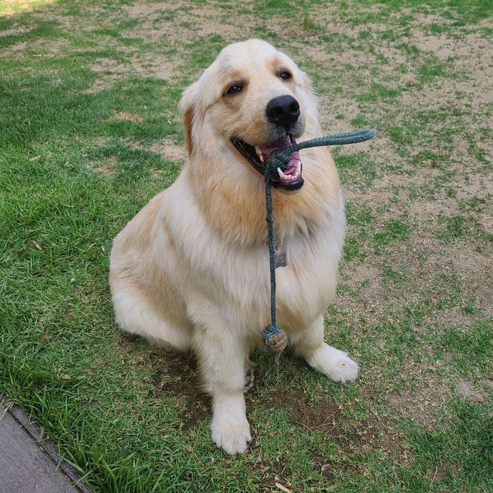 บ๊อทเทอร์ (버터)