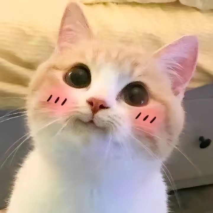 ⋆ ✩ 𓂂 ป้ายยาของดี๊🌷✿˚ ༘ ‧₊