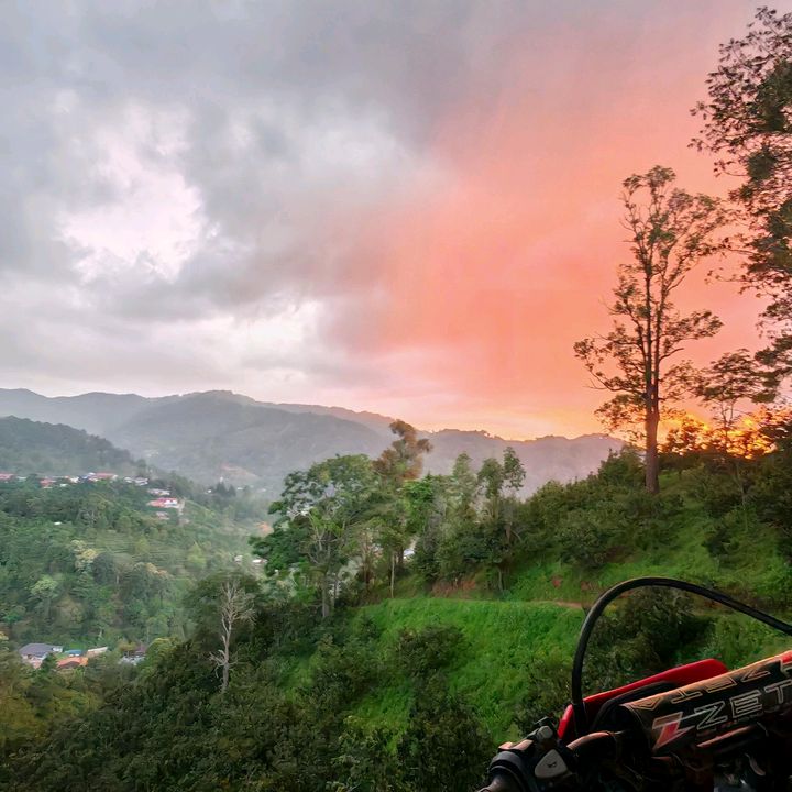 ยอดดอยฟาร์มเชียงราย