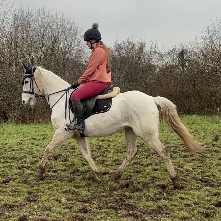 equestrianfreya