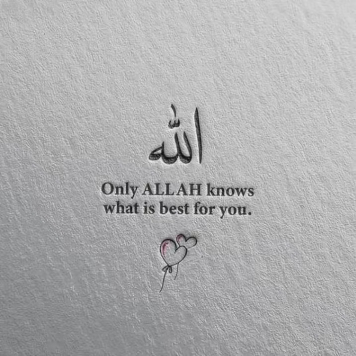 الله لا إله إلا الله ☝