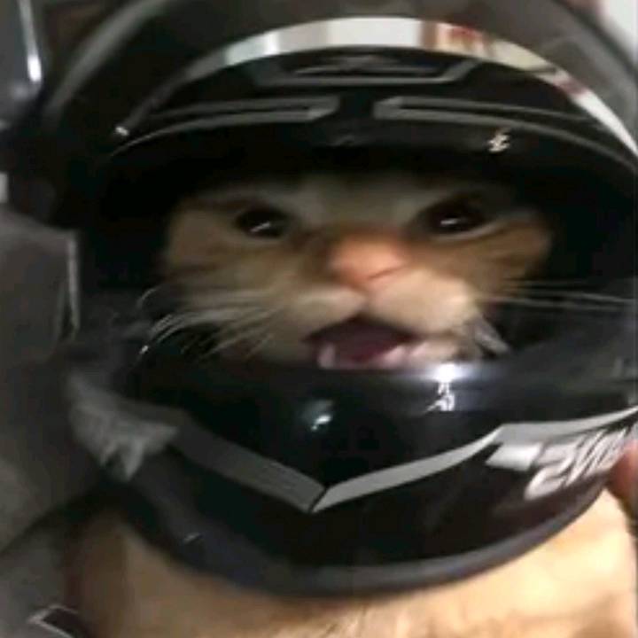 YWD (Prime era) ✝︎