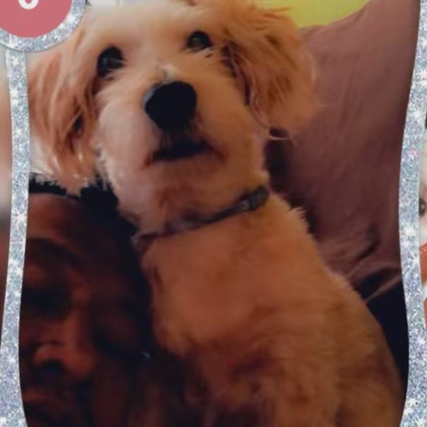 Wilson Ochoa Herrera