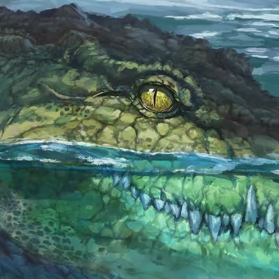 crocodile 🐊