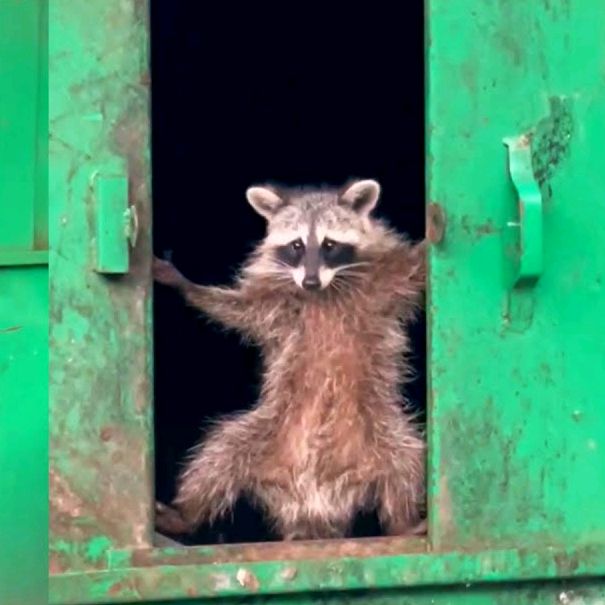 S̢̼̼͖̺͖ͪK̭̭͔͓̦̏̎͠Y̧̬̬͇̖̳̏͌͞Ê