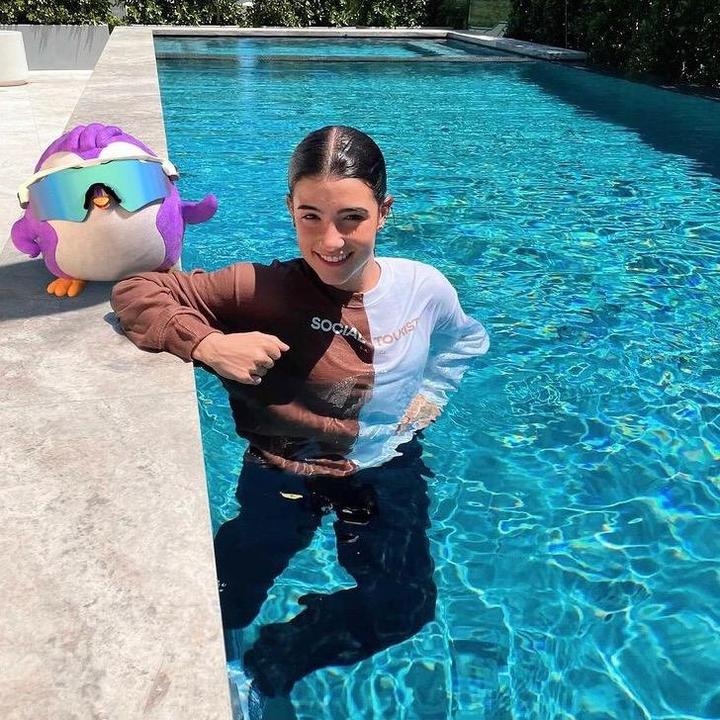 ⊹₊⋆ ᜊ 𝚌𝚑𝚊𝚛𝚕𝚒 જ 🦢