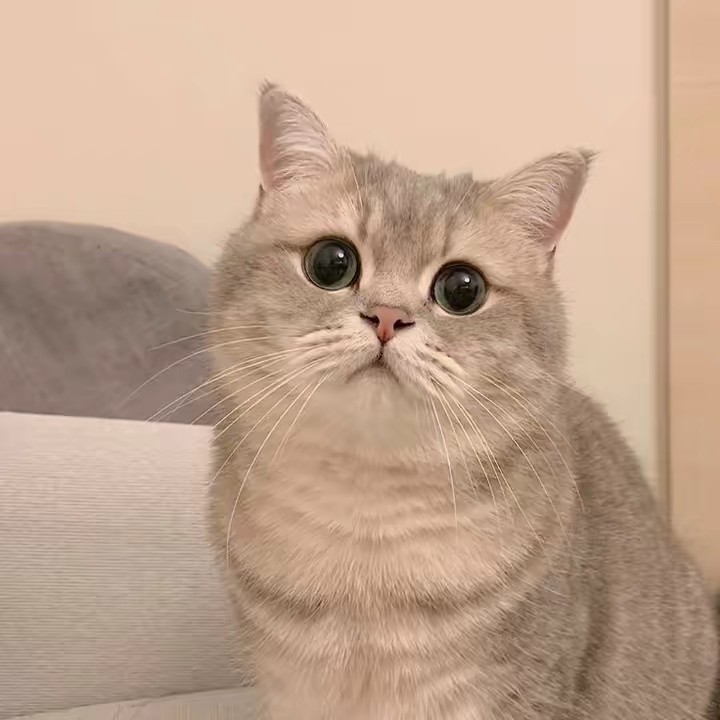 CC ✔️🌈🌀🔥✨🍃