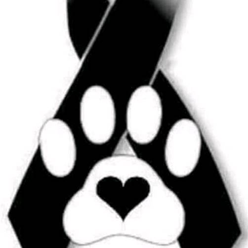 🍄F-E-R🍄🩷 kenini🩷