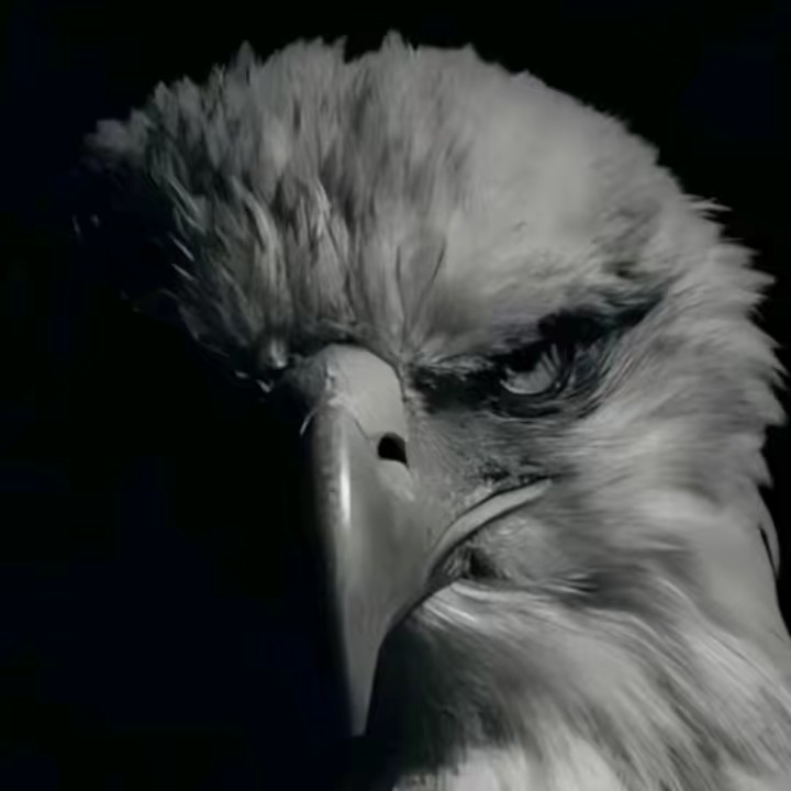 😎جٹ بادشاہ