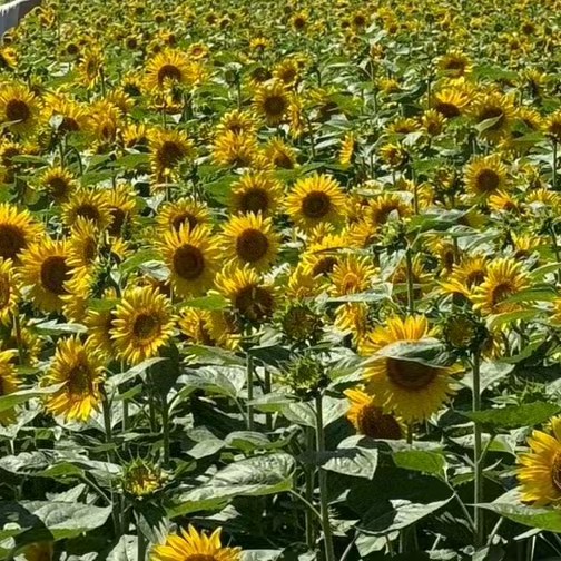 商品紹介します