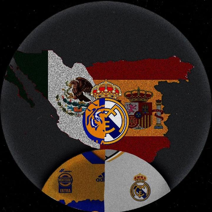 Tigres y real Madrid