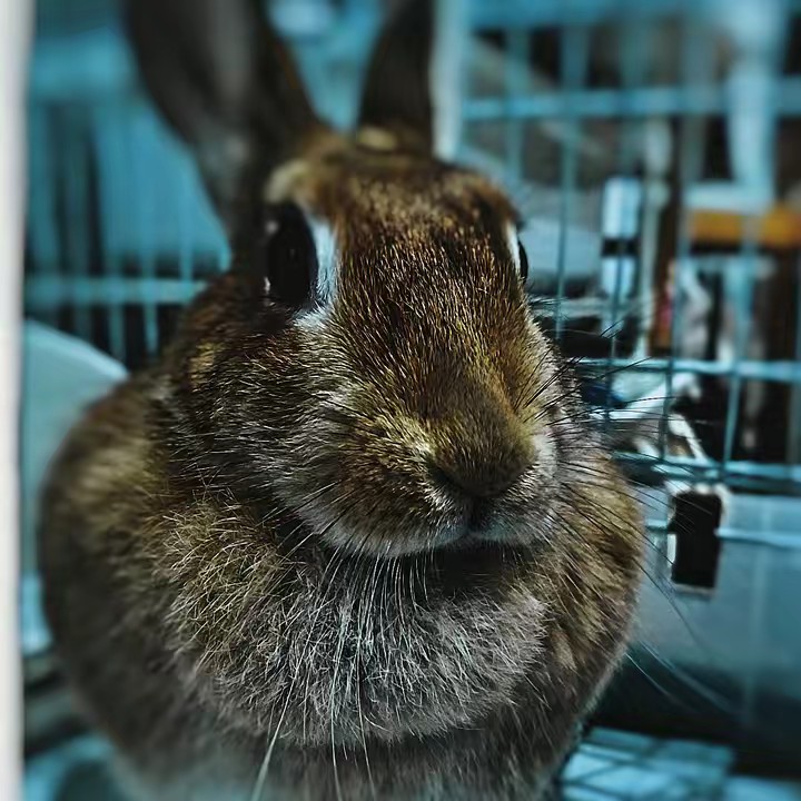 ミルク👼🐰🎀