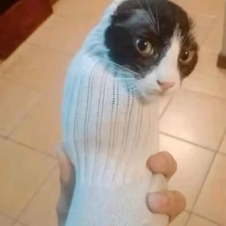 𝕝𝕚𝕝𝕚❤️‍🔥🌙🌙☆✳✶