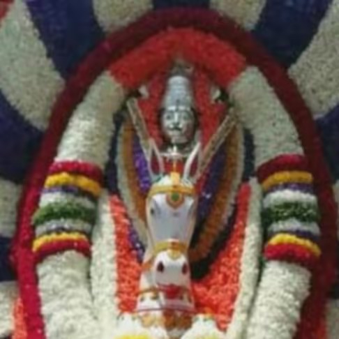 💐Anusha Nagaraj 💐