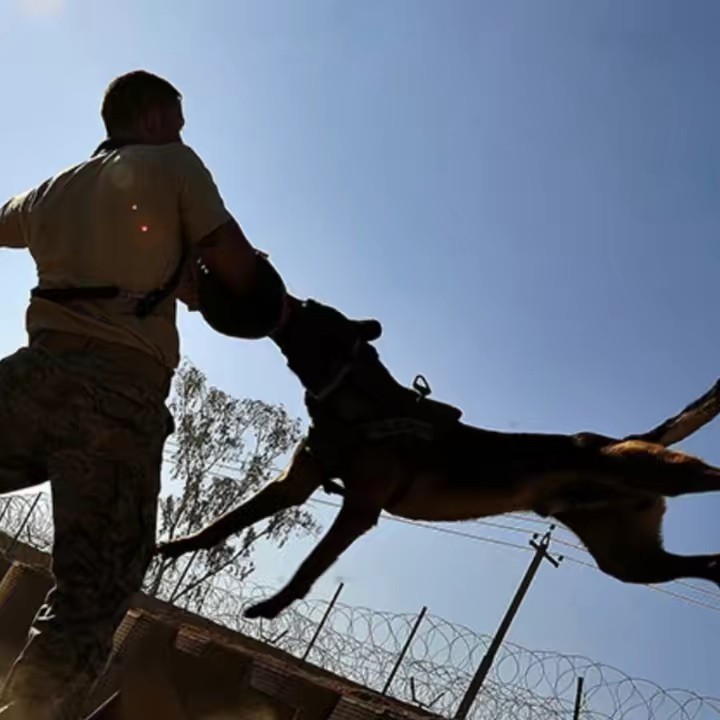 اخبار المغرب و العالم