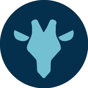 Blue Giraffe Inc