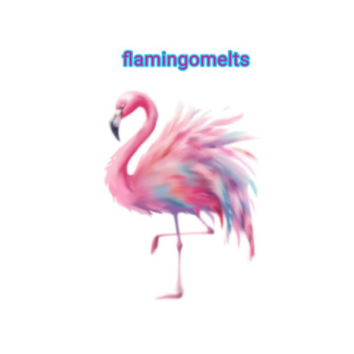 flamingomelts
