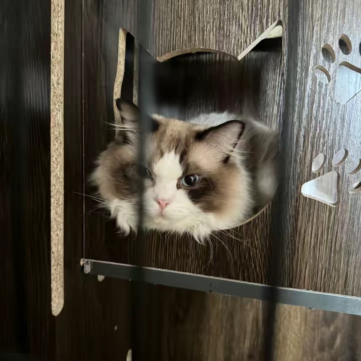 Jasmine Ng ✩°｡⋆⸜(˙꒳˙ )