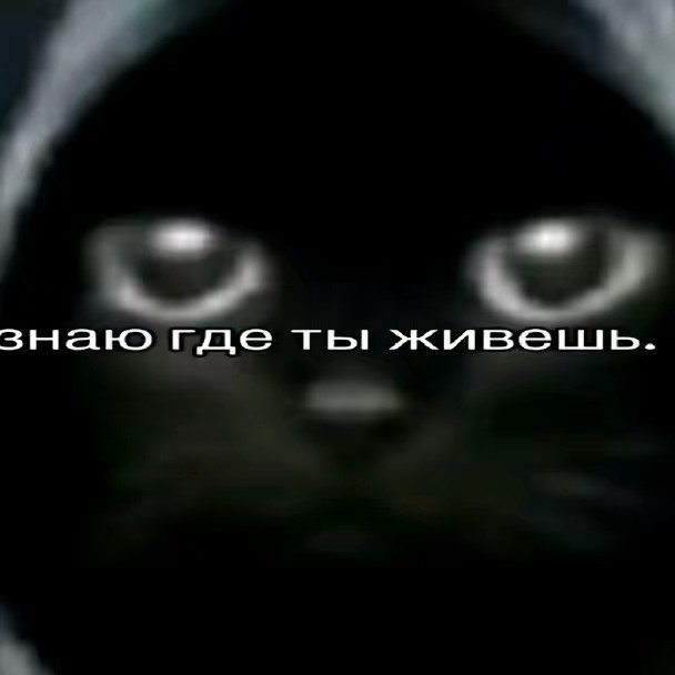 Тимофей работа