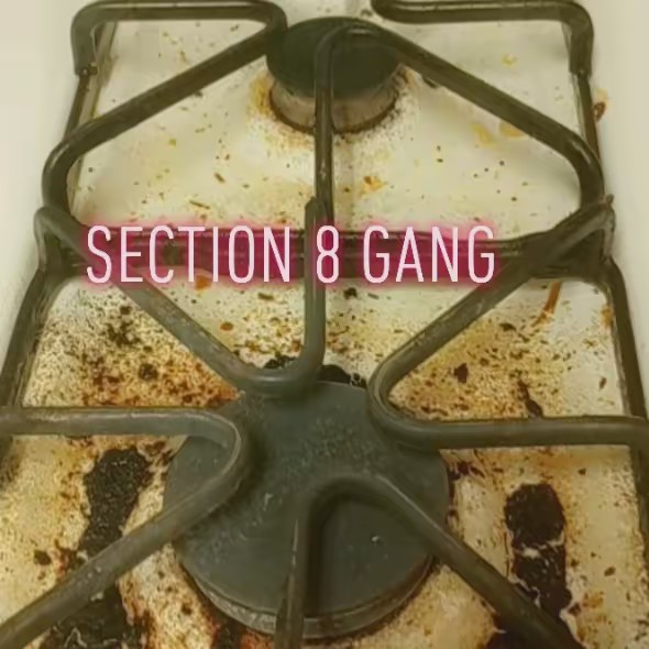 section8food