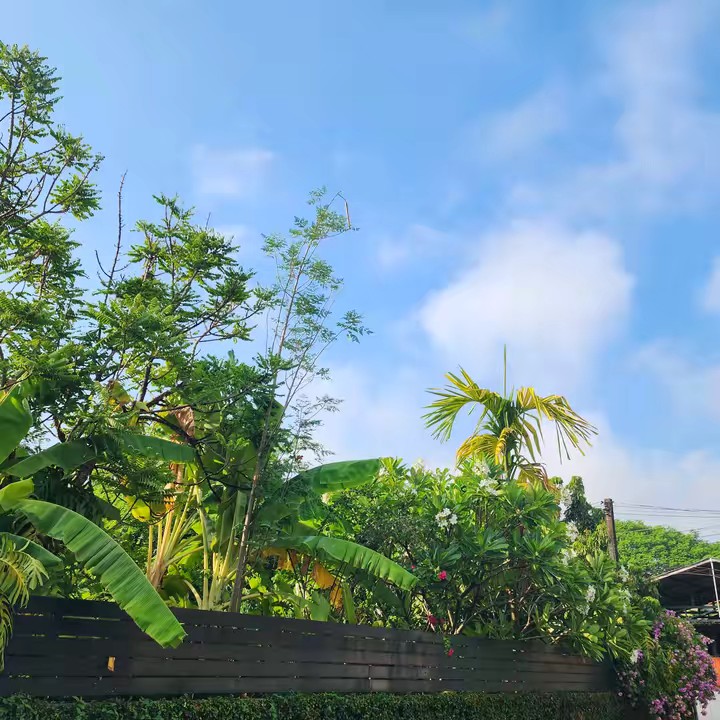 น้องเนมรีวิว78