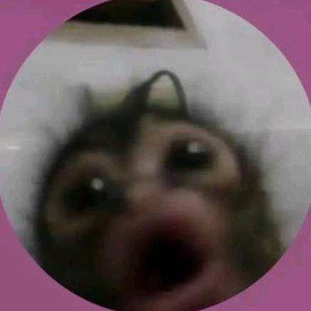 ִ ࣪ ˖ ࣪  卂几ㄩ ᰔ ִ ׄ 🎀