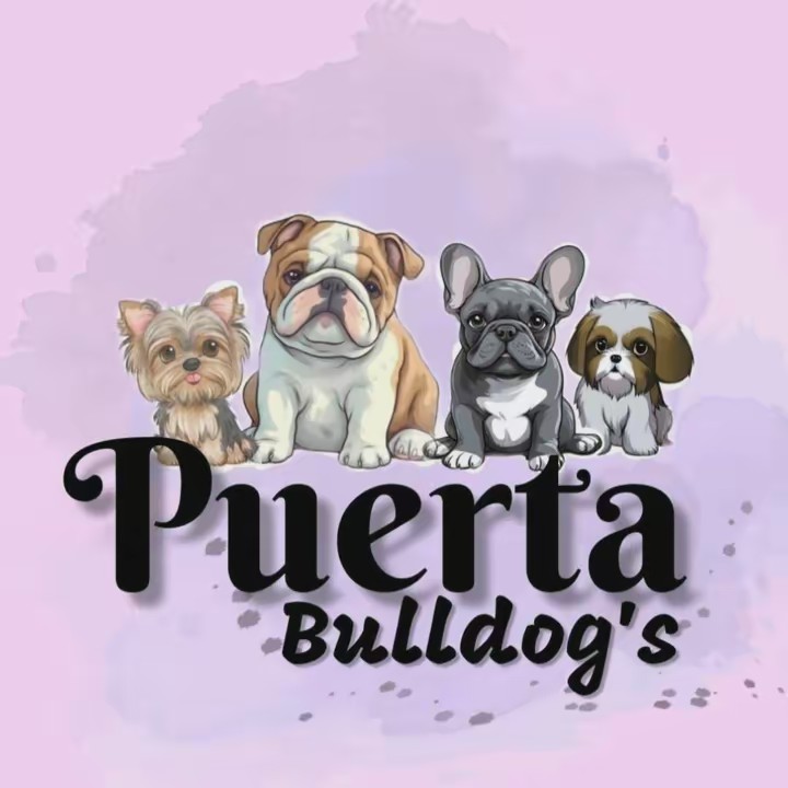 Puerta Bulldog's