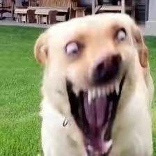 Un poco de todoooo😙✌️