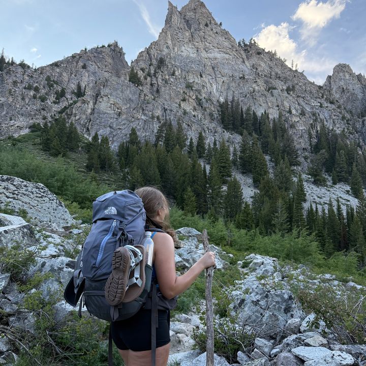 ‍‍‍‍‍‍‍‍‍‍‍