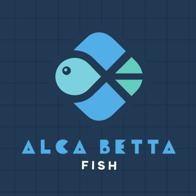 Alca Betta Fish
