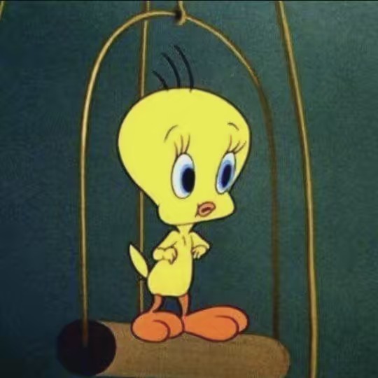 🍁Myzhashe寶貝✨️