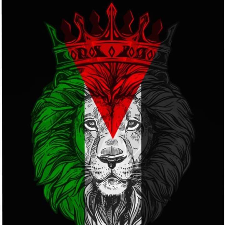 🇵🇸Demme Falasteni🇵🇸