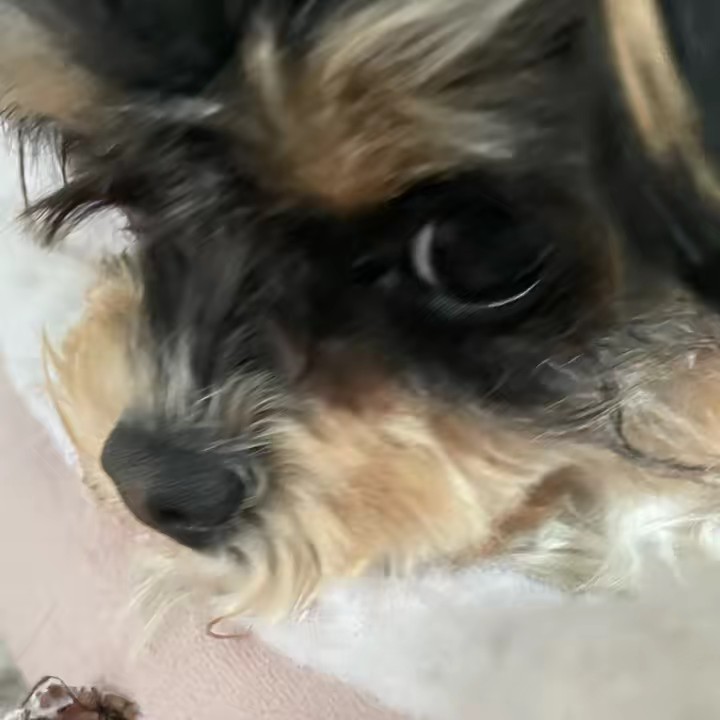 ︎ ︎ ︎ ︎ ︎ ︎