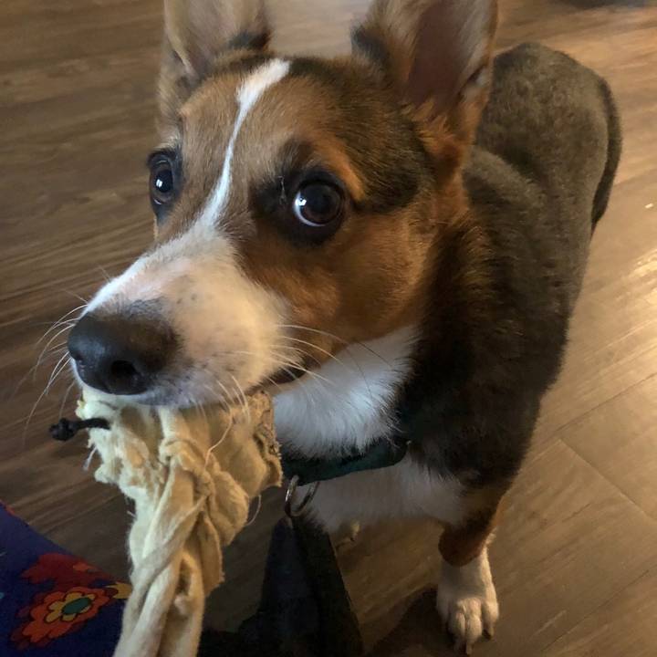 scottydoesntknow2021