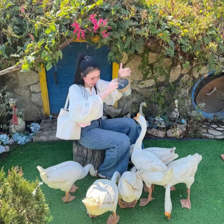 ป้ายยา✨