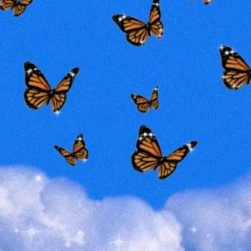 27 fans im still happy!!😇❤