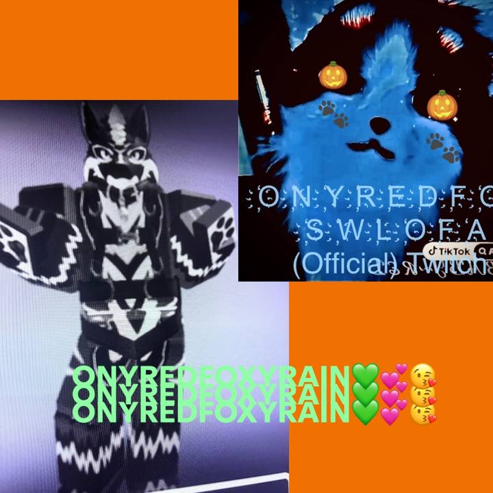 ONYREDFOXYRAIN_the_floof💍💍💚