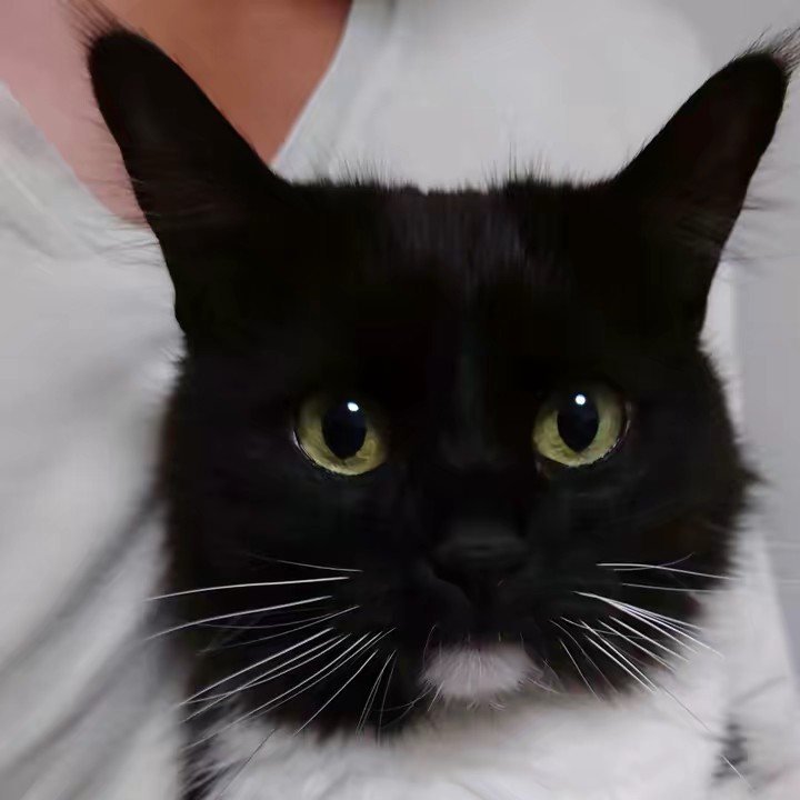 noriko Kon-ri-o Studio