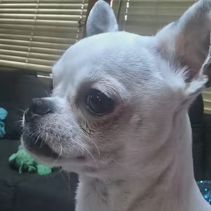 <(((《PNW DONROGER》))))>