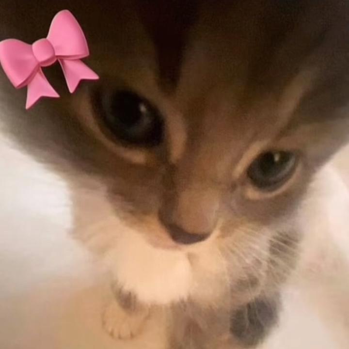 idkkk🤷‍♀️🤷‍♀️