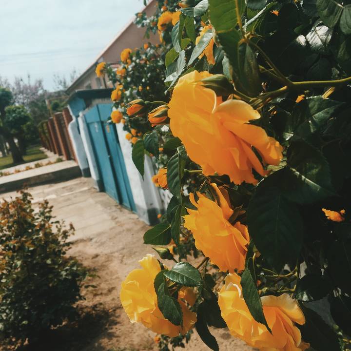 👼🏻Katyushka917🍦