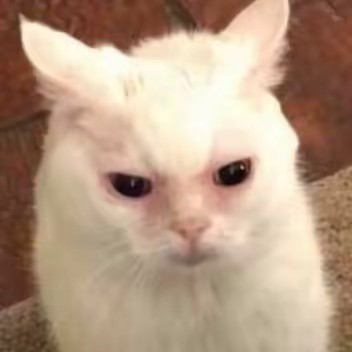 CORPSE