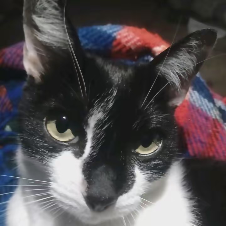 💎p|ūt∆ø fr3§te¥le 2d€dø§🌹🌍