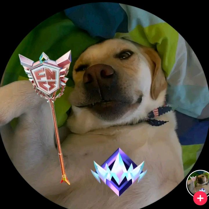 Hockey's better🏒🏒