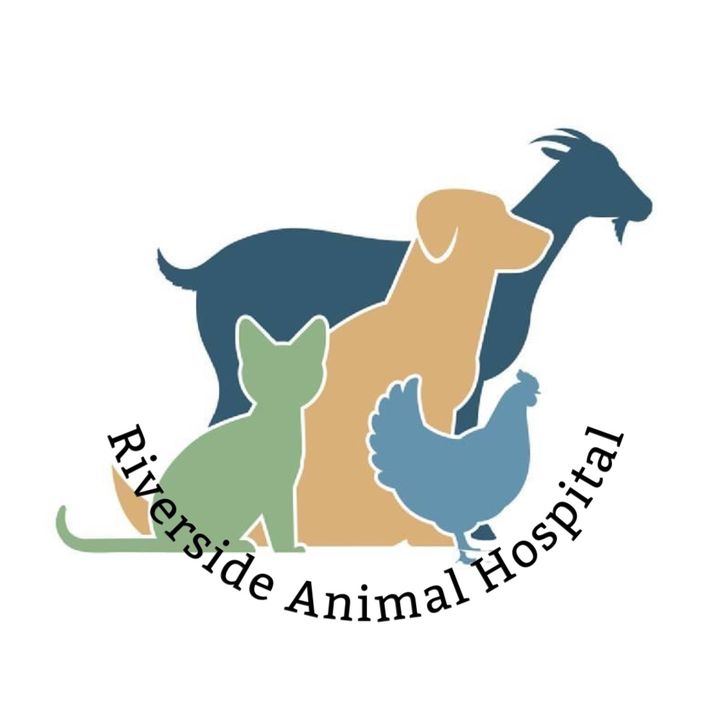 Riverside Animal Hospital