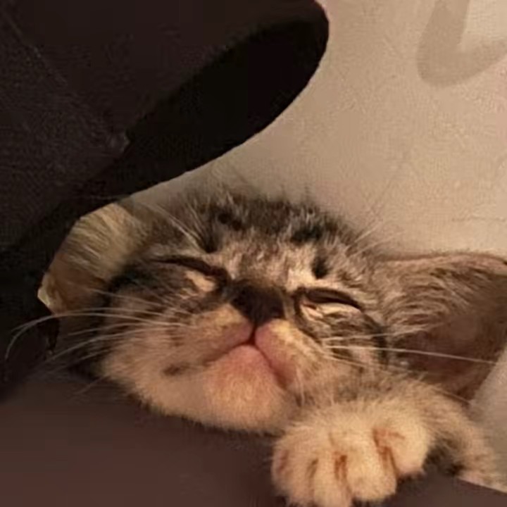 Cần Thơ ăn gì up nấy đại đại