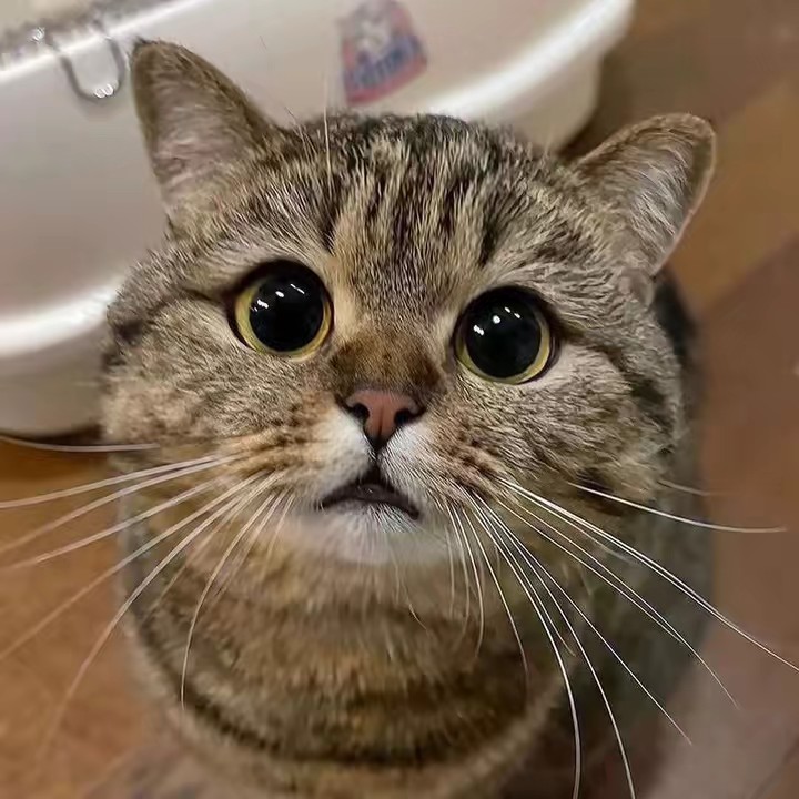 ตาหมู ช้อปปิ้ง