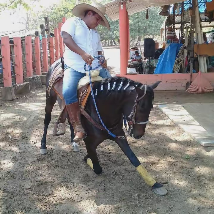 Alexis Gonzales Marin