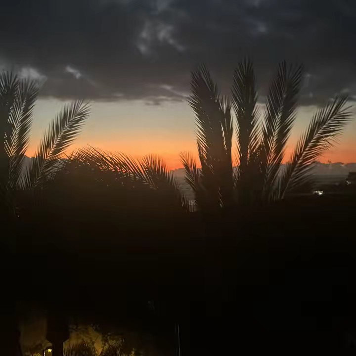 🏁ℒ 𝒥 𝒫²¹⁰